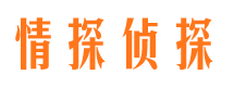 咸安婚外情调查